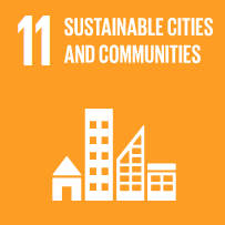 SDG 11