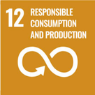 SDG 8