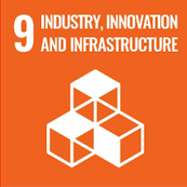 SDG 16