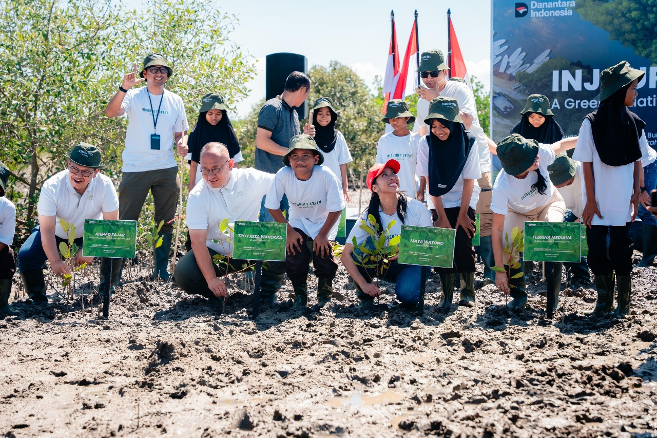Mangrove Rehabilitation
